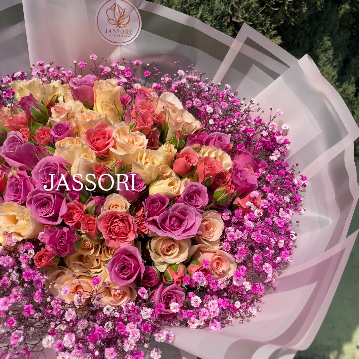 JASSORI BabyRColors