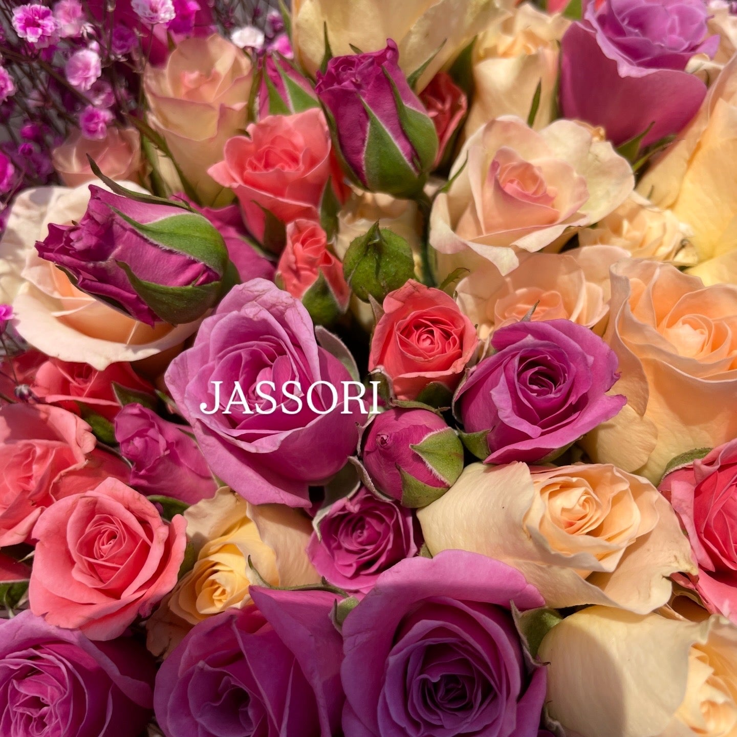 JASSORI BabyRColors