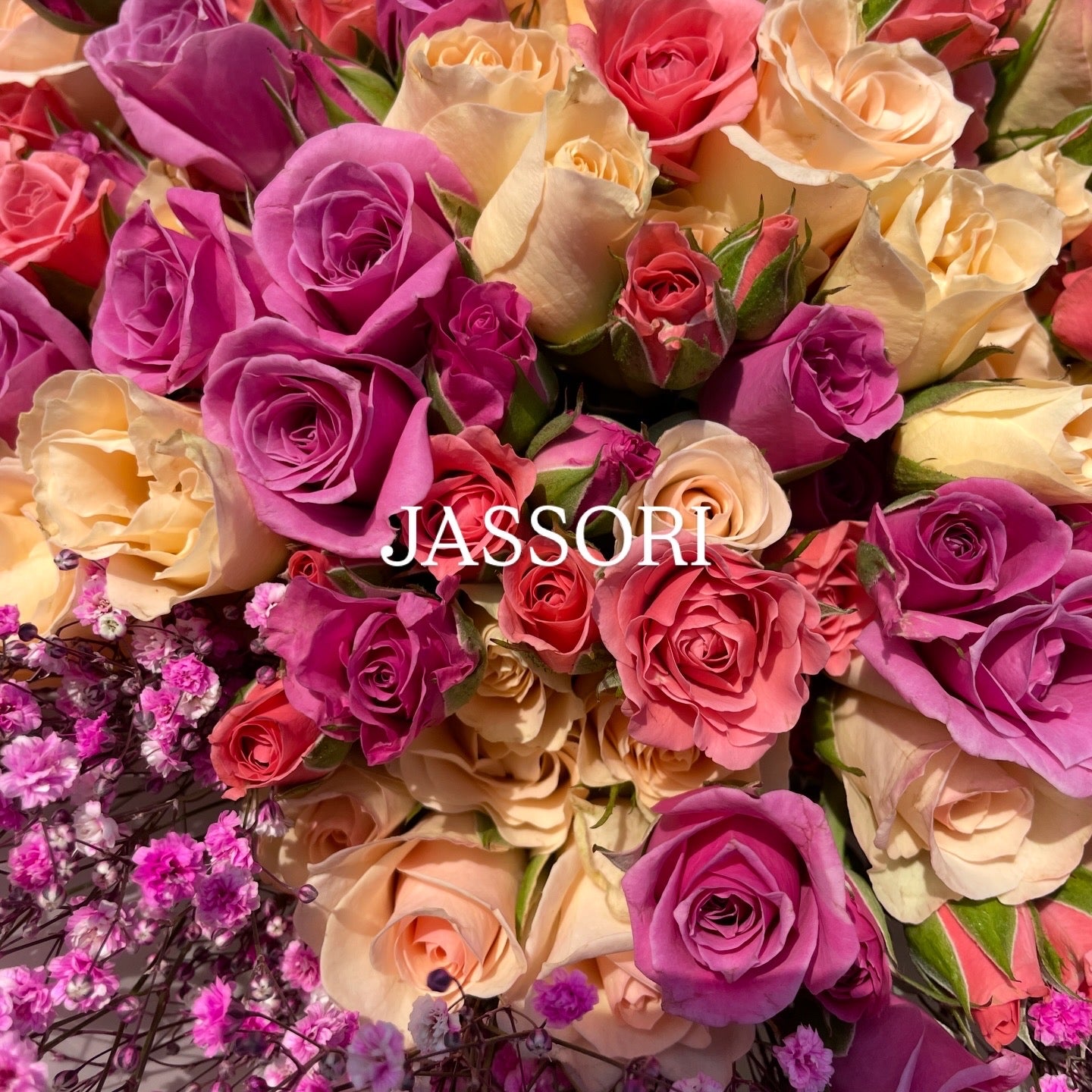 JASSORI BabyRColors