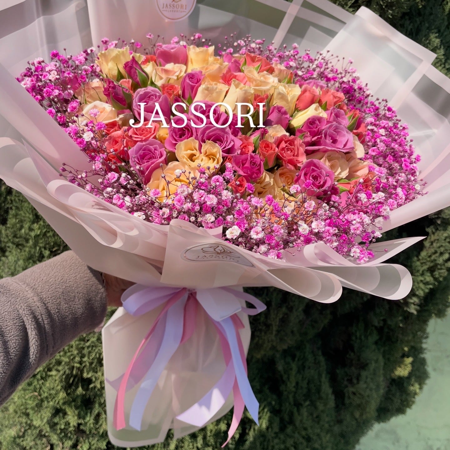 JASSORI BabyRColors