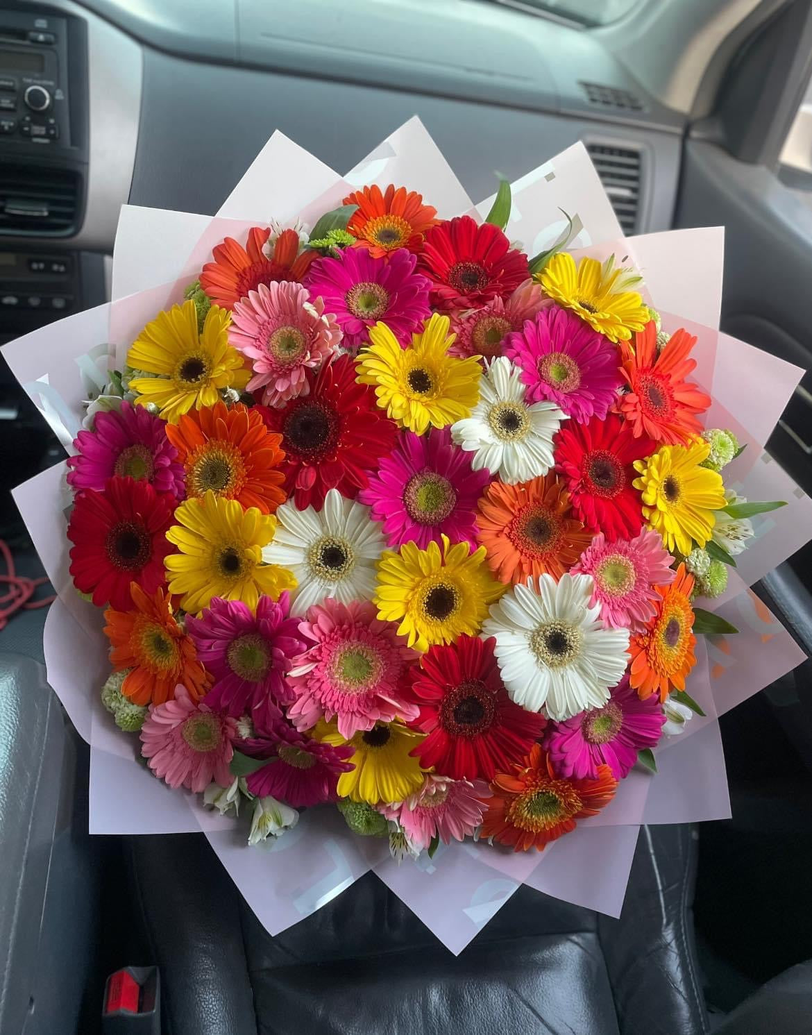 Gerberas