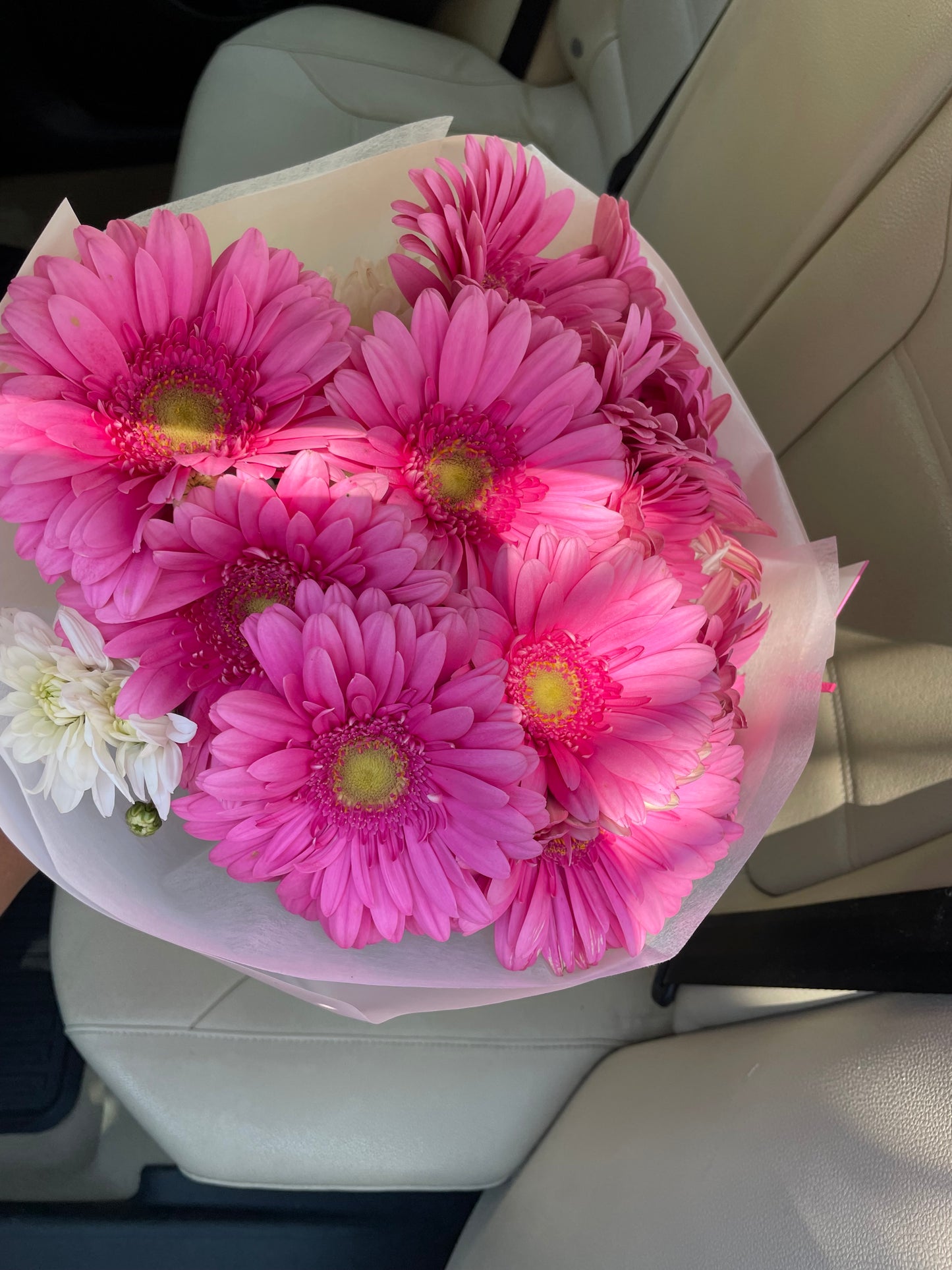 Gerberas del alma