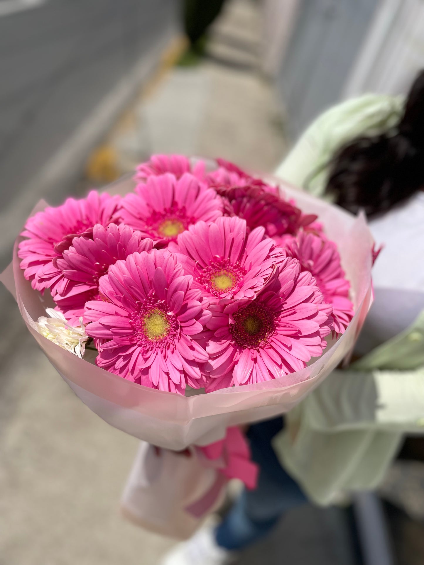 Gerberas del alma