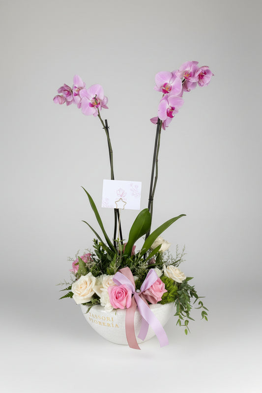 Orquídea con Rosas